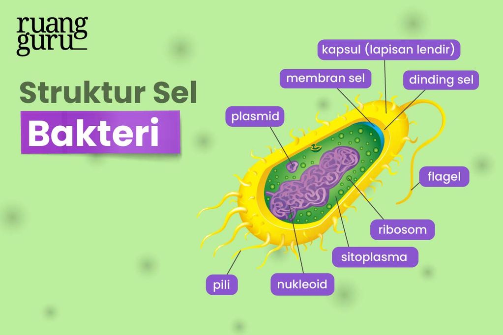 Esensi Bakteri Penari Cahaya yang Hidup di Tanganmu: Sebuah Simfoni Mikroskopis dalam Genggaman