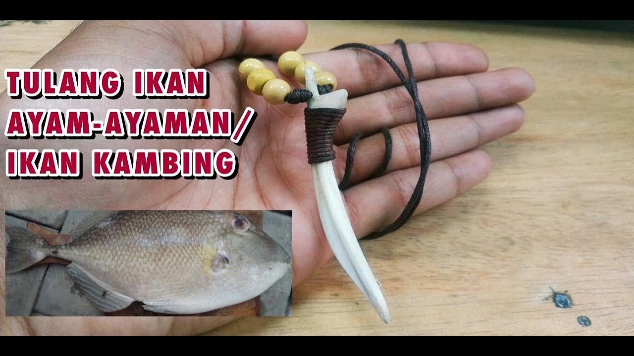 Kalung dari Tulang Ikan Terakhir yang Terdengar Bernyanyi