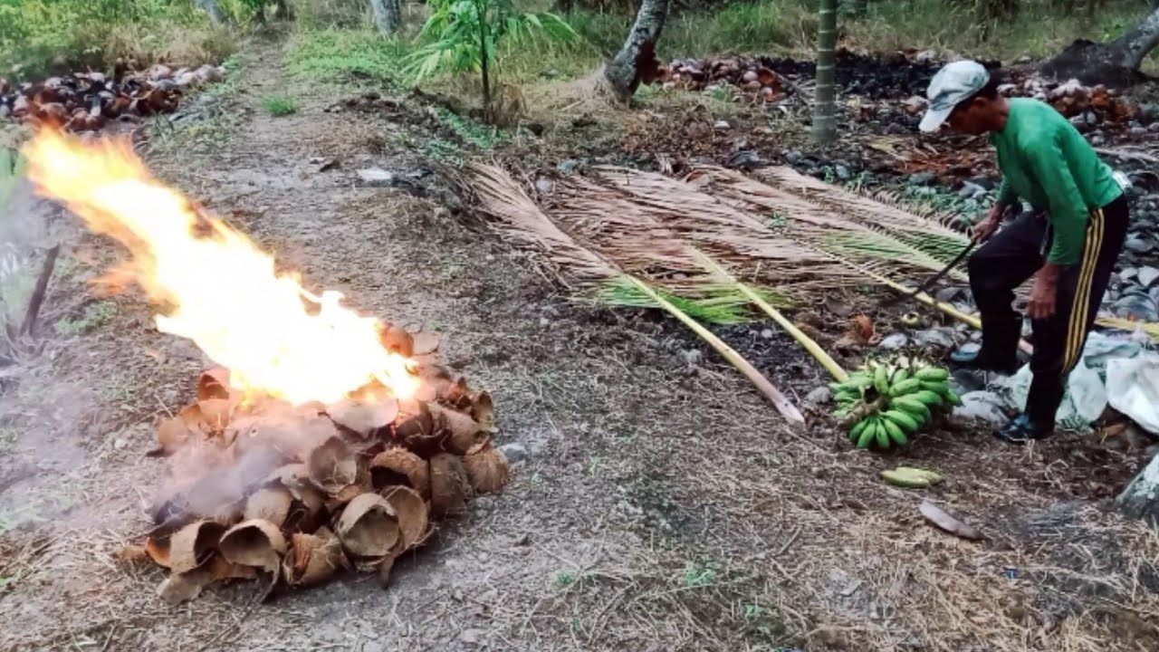 Lipstik Merah Menyala dari Mentawai: Kisah Getah Tempurung dan Kearifan Lokal yang Terlupakan